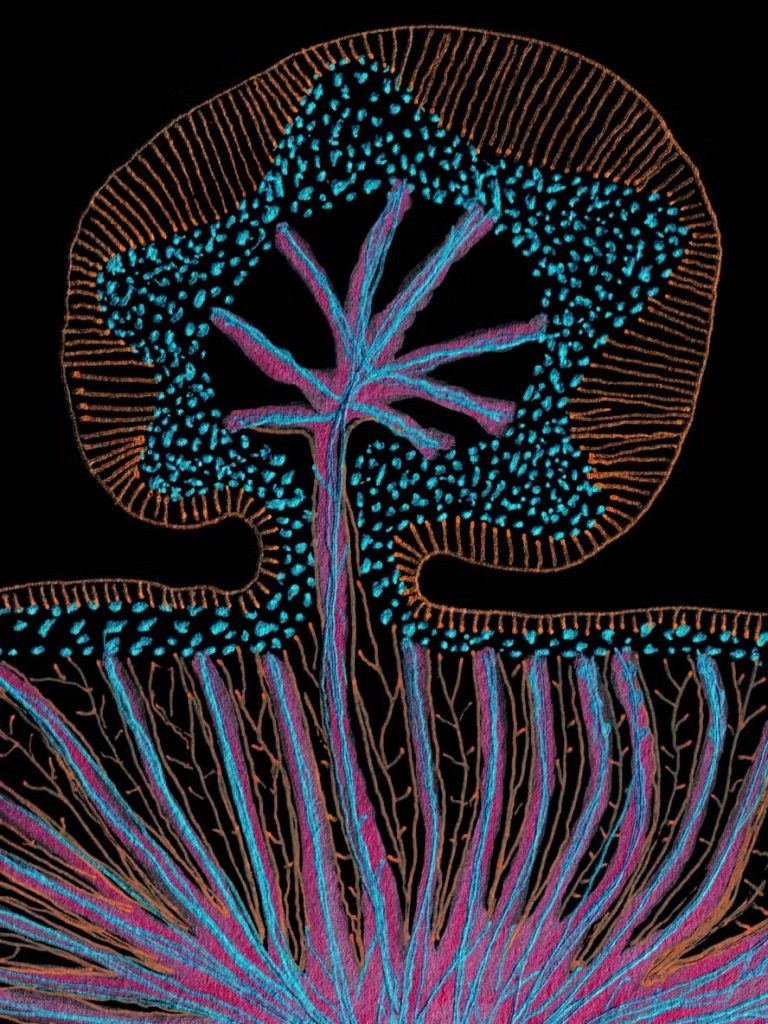 Humberto Campana para Milano Design Week.